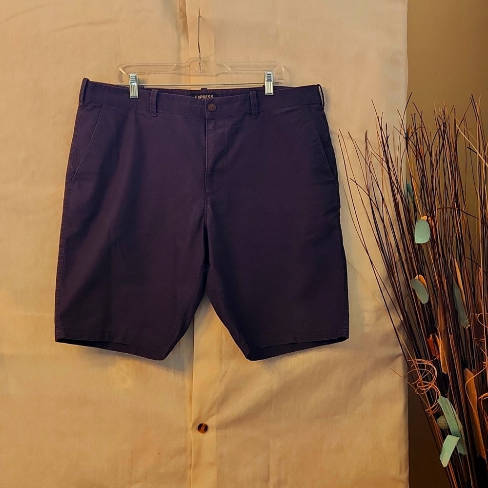 Express Men's Shorts